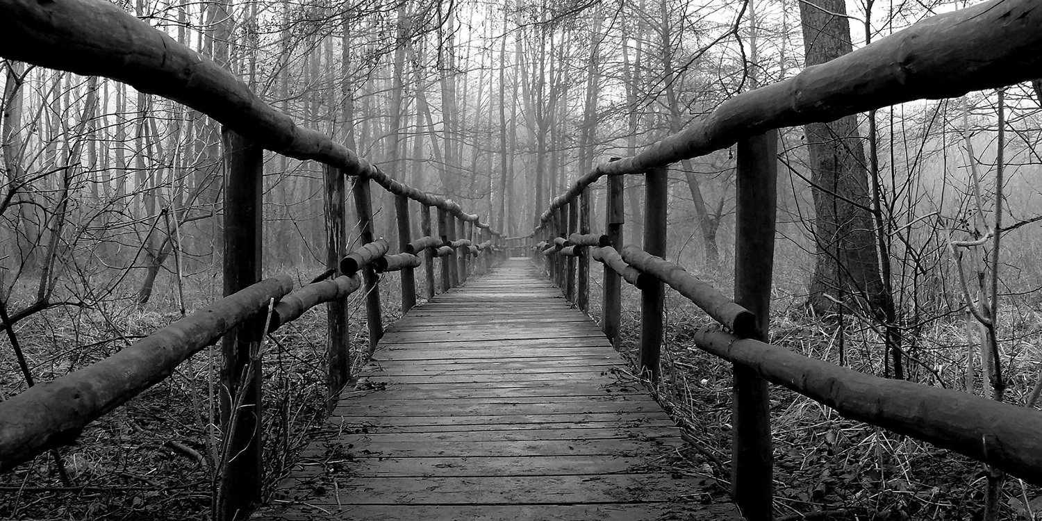 Black and white photo of a bridge