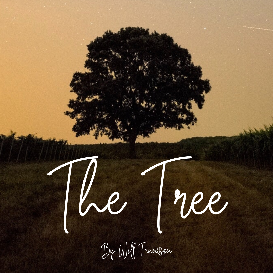 The Tree play poster. a dusky photo of an oak tree in the distance silhouetted against the dusk sky with a field in the foreground.