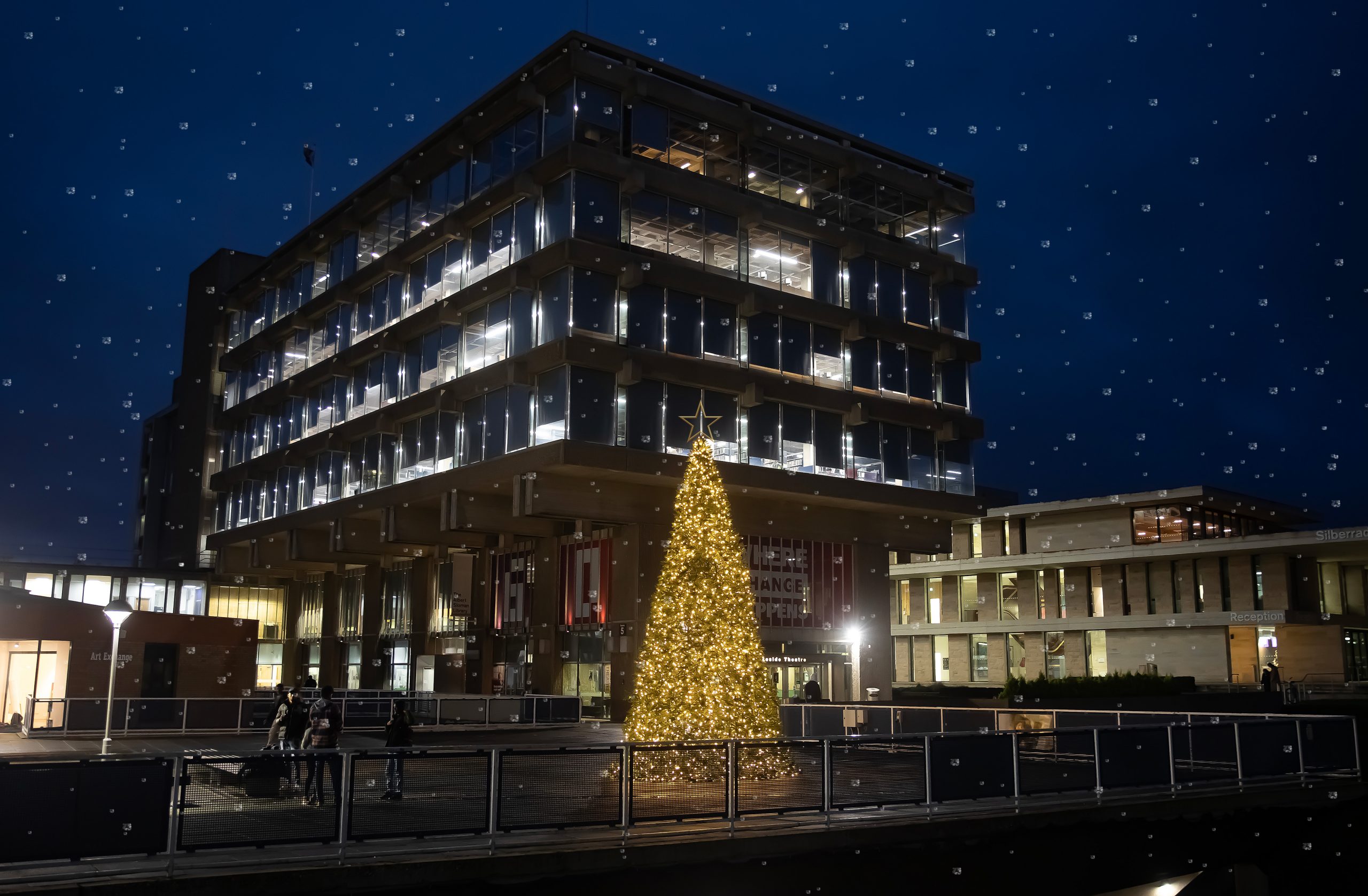 Snow falling lightly on the Albert Sloman Library with a christmas tree in front of it