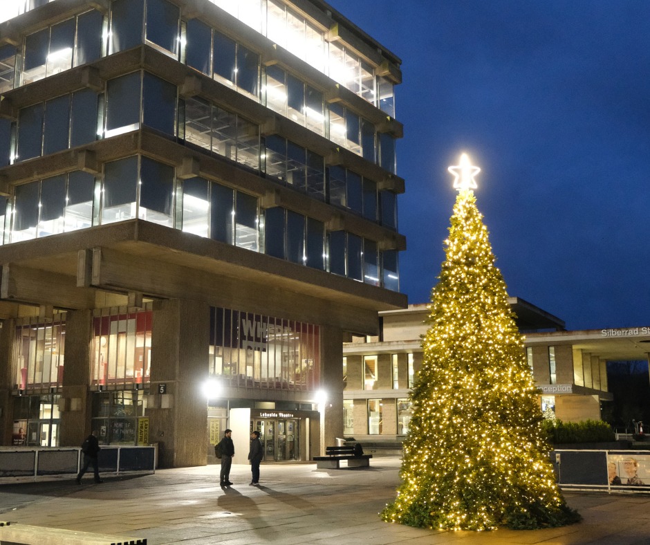 Christmas tree outside the Lakeside Theatre